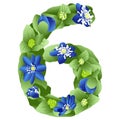 vector image of the number 6 in the form of flowers and leaves of liverwort