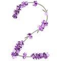 vector image of the number 2 in the form of lavender sprigs in purple colors Royalty Free Stock Photo