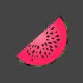 Vector image of a piece watermelon. Watermelon icon