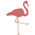 Pink Flamingo With One Leg Up Royalty Free Stock Photo