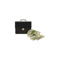 Vector image. Portfolio and money. Briefcase and Cash. Case and dollars