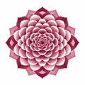 Red Lotus Flower: Minimalistic Mandalas Pattern On White Background