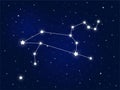 The zodiac constellation of Leo in the starry sky