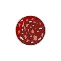 Vector image of salami slice in the technique of flat drawing