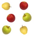 Vector image seamless background of apples