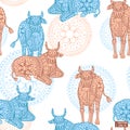 Seamless pattern with Indian cows Royalty Free Stock Photo