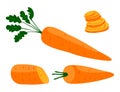 Vector image set, collection of shapes carrots.