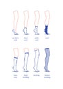 Vector image. A set of female socks and stockings of different lengths. Socks and stockings on the leg of a dummy. Flat Royalty Free Stock Photo