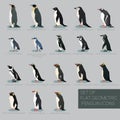 Set of flat geometric species of Penguins Royalty Free Stock Photo