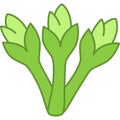 Asparagus Filled Outline Icon Vegetable Vector