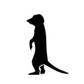 Meerkat Icon Vector