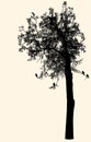 Vector image of silhouette of deciduous tree in cold season Royalty Free Stock Photo