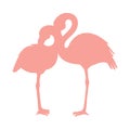 Vector image of a silhouette of a flamingo bird standing on one leg Royalty Free Stock Photo