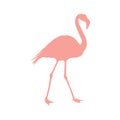 Vector image of a silhouette of a flamingo bird standing on one leg Royalty Free Stock Photo