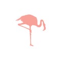 Vector image of a silhouette of a flamingo bird standing on one leg Royalty Free Stock Photo