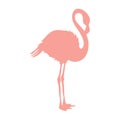 Vector image of a silhouette of a flamingo bird standing on one leg Royalty Free Stock Photo