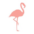 Vector image of a silhouette of a flamingo bird standing on one leg Royalty Free Stock Photo