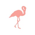 Vector image of a silhouette of a flamingo bird standing on one leg Royalty Free Stock Photo