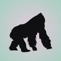 Vector image of a silhouette gorilla on a white background