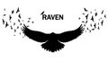 Vector image of a silhouette of a raven on a white background.