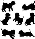 Vector image of silhouettes of playing puppies