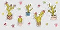Vector image of stickers of cactus in pots.