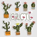 Vector image of stickers of cactus in pots.