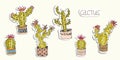 Vector image of stickers of cactus in pots.
