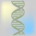Vector image of the structure of DNA, graphic anatomy. molecule on a colored background.