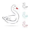 Vector image of swan Royalty Free Stock Photo