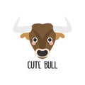 Vector image of a sweet face of a bull with pink cheeks and text on white background in flat design style. Logo, badge, children`