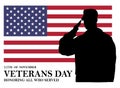 the 11th day of veterans day november