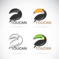 Vector image of an toucan bird design