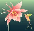 Vector image of tropical pink flower and flying hummingbird Royalty Free Stock Photo