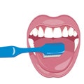 Vector image on a white background. how to brush your teeth rightly with a toothbrush. vector image on a white background.