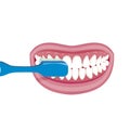 Vector image on a white background. how to brush your teeth rightly with a toothbrush. Healthy, white teeth.