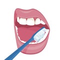 Vector image on a white background. how to brush your teeth rightly with a toothbrush. Healthy, white teeth.