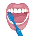 Vector image on a white background. how to brush your teeth rightly with a toothbrush. Healthy, white teeth.