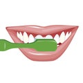 Vector image on a white background. how to brush your teeth rightly with a toothbrush. Healthy, white teeth.