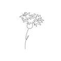 Vector image of wildflowers cornflowers isolated on white background Doodle. Illustration