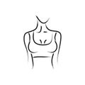 Vector image of a woman`s body. Beautiful shape. Turn right. Female bust. . Drawing paint