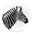 Vector Image of an Zebra Head Royalty Free Stock Photo