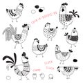 Vector images of chickens, hens, cocks, eggs in cartoon style, line art. Elements for design cover food package