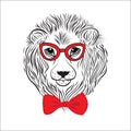 Vector images of lion wearing sunglasses on white background.