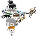 Vector India fauna map, flat elements. Animals, birds, reptiles, insects big set. Geography infographic