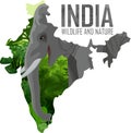 Vector India map with indian elephant