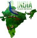 Vector India map with male peacock peafowl