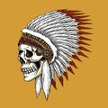 Vector indian skull