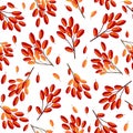 Vector infinite pattern with Barberry