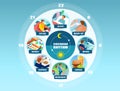 Vector infographic of a circadian rhythm and daily routine of a young man